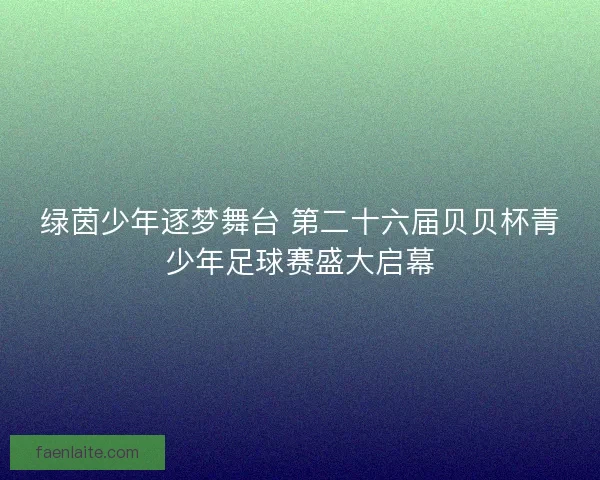 绿茵少年逐梦舞台 第二十六届贝贝杯青少年足球赛盛大启幕 绿茵少年逐梦舞台 第二十六届贝贝杯青少年足球赛盛大启幕